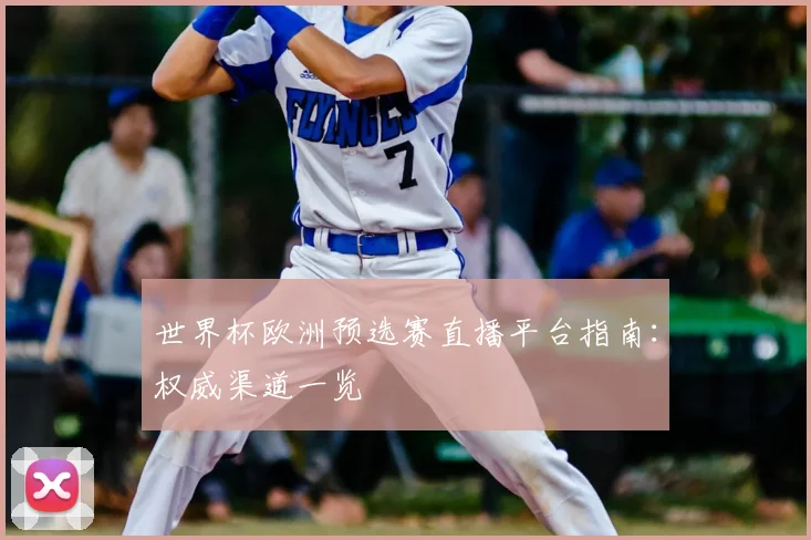 世界杯欧洲预选赛直播平台指南：权威渠道一览